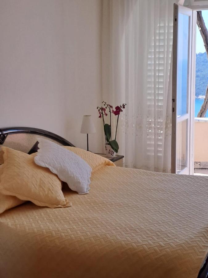 Amazing Dubrovnik & Sea View Room エクステリア 写真